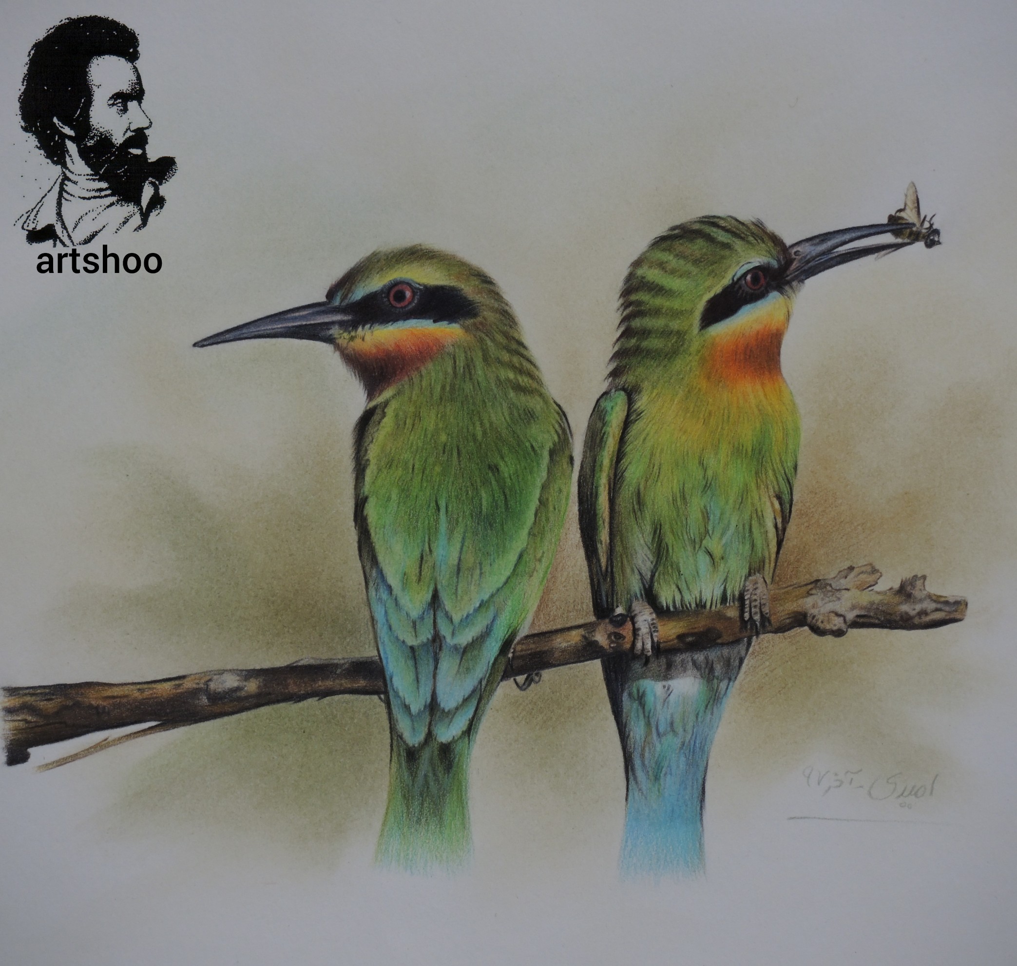 نقاشی مدادرنگی اورژینال